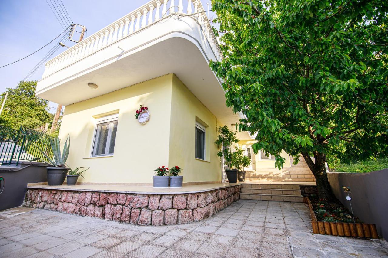 Stefania'S Home Ano Volos Eksteriør billede